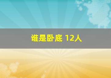 谁是卧底 12人